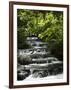 Tabacon Hot Springs, Volcanic Hot Springs Fed from the Arenal Volcano, Arenal, Costa Rica-Robert Harding-Framed Photographic Print