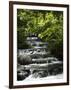 Tabacon Hot Springs, Volcanic Hot Springs Fed from the Arenal Volcano, Arenal, Costa Rica-Robert Harding-Framed Photographic Print