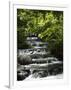 Tabacon Hot Springs, Volcanic Hot Springs Fed from the Arenal Volcano, Arenal, Costa Rica-Robert Harding-Framed Photographic Print