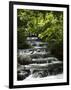 Tabacon Hot Springs, Volcanic Hot Springs Fed from the Arenal Volcano, Arenal, Costa Rica-Robert Harding-Framed Photographic Print