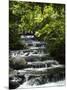 Tabacon Hot Springs, Volcanic Hot Springs Fed from the Arenal Volcano, Arenal, Costa Rica-Robert Harding-Mounted Photographic Print