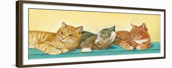 Tabbies-Janet Pidoux-Framed Giclee Print