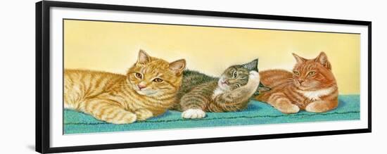 Tabbies-Janet Pidoux-Framed Giclee Print