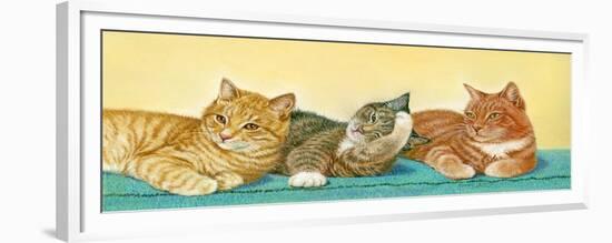 Tabbies-Janet Pidoux-Framed Giclee Print