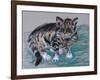 Tabby Cat, 2005-Joan Thewsey-Framed Giclee Print