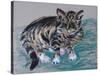 Tabby Cat, 2005-Joan Thewsey-Stretched Canvas