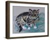 Tabby Cat, 2005-Joan Thewsey-Framed Giclee Print