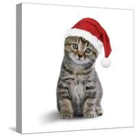 Tabby Cat Kitten Wearing Christmas Hat-null-Stretched Canvas