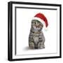 Tabby Cat Kitten Wearing Christmas Hat-null-Framed Photographic Print