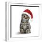 Tabby Cat Kitten Wearing Christmas Hat-null-Framed Photographic Print