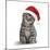 Tabby Cat Kitten Wearing Christmas Hat-null-Mounted Photographic Print