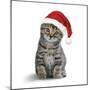 Tabby Cat Kitten Wearing Christmas Hat-null-Mounted Photographic Print