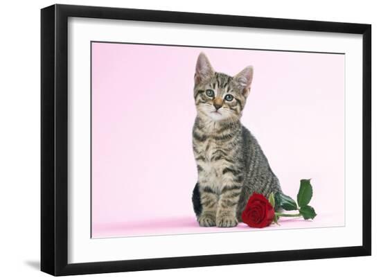 Photographic Print, , large