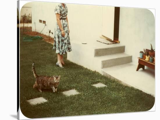Tabby Cat on Lawn with Lady-null-Stretched Canvas