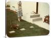 Tabby Cat on Lawn with Lady-null-Stretched Canvas