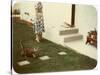 Tabby Cat on Lawn with Lady-null-Stretched Canvas