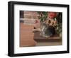 Tabby Cat Resting on Garden Terrace, Italy-Adriano Bacchella-Framed Photographic Print