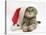 Tabby Cat Wearing a Father Christmas Hat-Jane Burton-Stretched Canvas