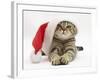 Tabby Cat Wearing a Father Christmas Hat-Jane Burton-Framed Photographic Print