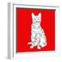 Tabby Cat-Anna Nyberg-Framed Art Print