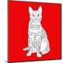 Tabby Cat-Anna Nyberg-Mounted Art Print