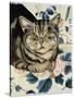 Tabby Cat-Anne Robinson-Stretched Canvas