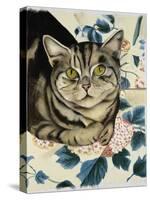 Tabby Cat-Anne Robinson-Stretched Canvas