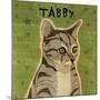 Tabby (grey) (square)-John W^ Golden-Mounted Art Print