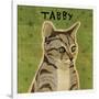 Tabby (grey) (square)-John W^ Golden-Framed Giclee Print