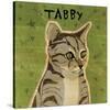 Tabby (grey) (square)-John W Golden-Stretched Canvas