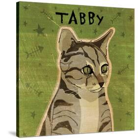 Tabby (grey) (square)-John W Golden-Stretched Canvas