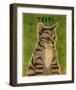 Tabby (grey)-John Golden-Framed Art Print