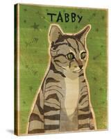 Tabby (grey)-John Golden-Stretched Canvas