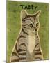 Tabby (grey)-John W^ Golden-Mounted Art Print