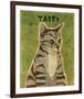 Tabby (grey)-John W^ Golden-Framed Art Print