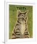 Tabby (grey)-John W^ Golden-Framed Art Print