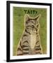 Tabby (grey)-John W^ Golden-Framed Art Print