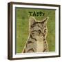 Tabby (grey)-John W Golden-Framed Giclee Print