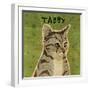 Tabby (grey)-John W Golden-Framed Giclee Print