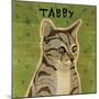 Tabby (grey)-John W Golden-Mounted Giclee Print