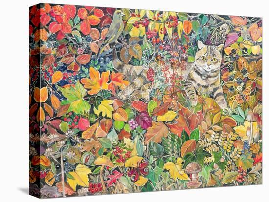 Tabby in Autumn, 1996-Hilary Jones-Stretched Canvas