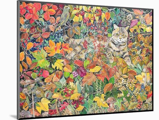 Tabby in Autumn, 1996-Hilary Jones-Mounted Giclee Print