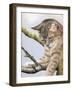 Tabby in Tree-Janet Pidoux-Framed Giclee Print