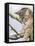 Tabby in Tree-Janet Pidoux-Framed Stretched Canvas