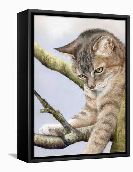 Tabby in Tree-Janet Pidoux-Framed Stretched Canvas