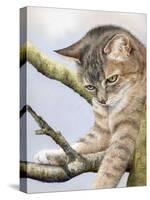 Tabby in Tree-Janet Pidoux-Stretched Canvas