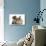 Tabby Kitten, 10 Weeks, and Young Rabbit-Mark Taylor-Photographic Print displayed on a wall