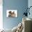 Tabby Kitten, 10 Weeks, and Young Rabbit-Mark Taylor-Mounted Photographic Print displayed on a wall