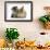 Tabby Kitten, 10 Weeks, and Young Rabbit-Mark Taylor-Framed Photographic Print displayed on a wall