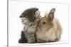 Tabby Kitten, 10 Weeks, and Young Rabbit-Mark Taylor-Stretched Canvas